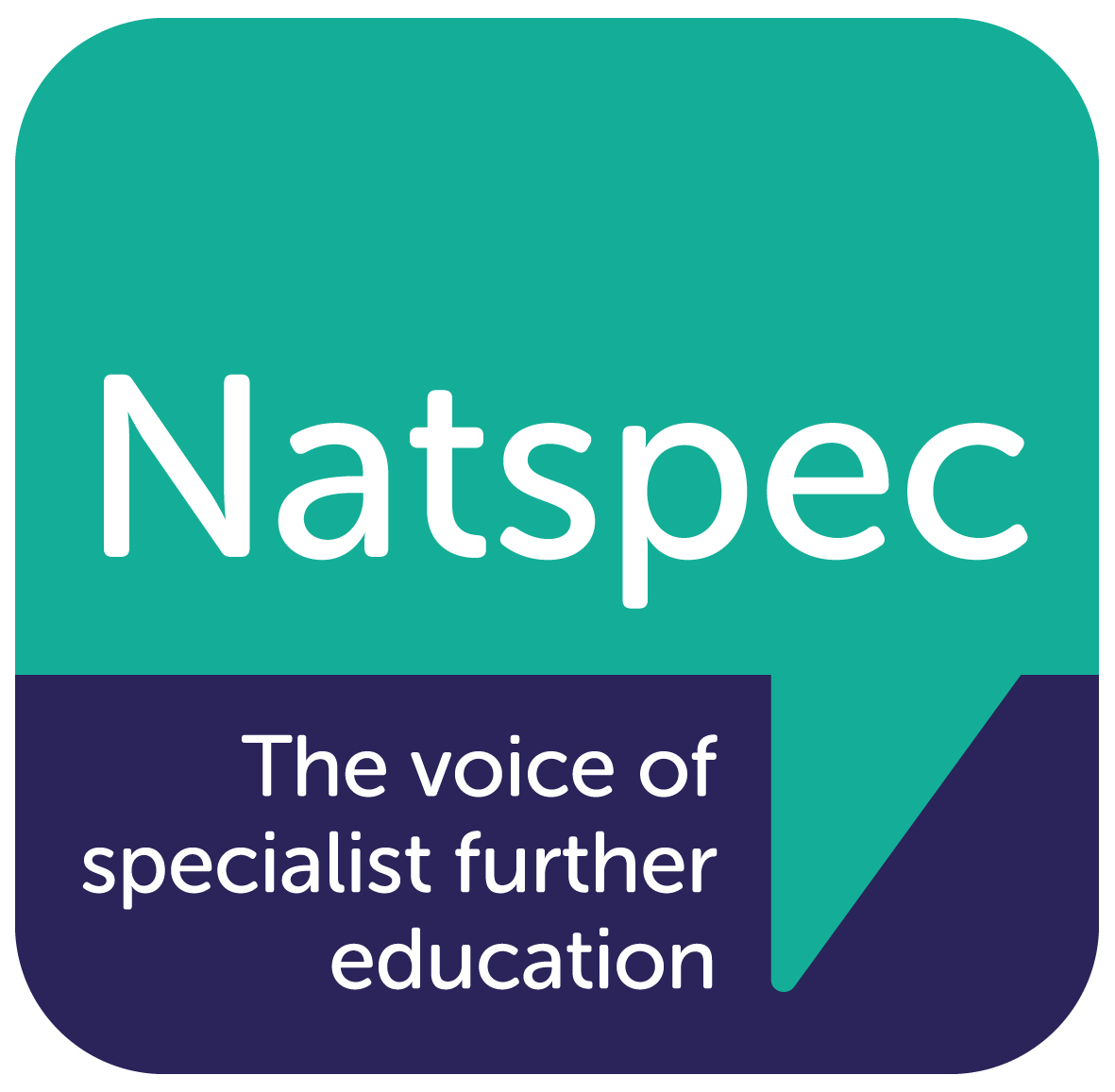 Natspec Logo